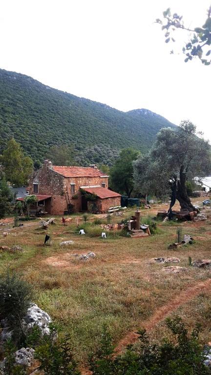 Hiker'S Inn-Purple House Kaleucagız Eksteriør bilde